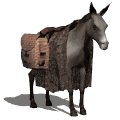 donkey2_standing_mw.gif