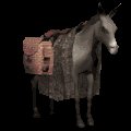 donkey2_standing_mc.gif