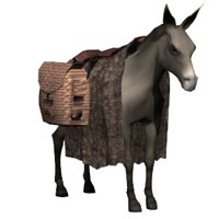 donkey2_standing_hr.jpg