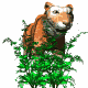 tiger_hunt_mw.gif
