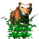 tiger_hunt_mc.gif