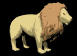 lion_look_sb.gif