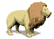 lion_look_mw.gif