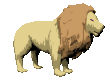 lion_look_mc.gif
