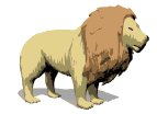 lion_look_lw.gif