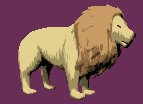 lion_look_lc.gif
