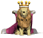 lion_king_look_sw.gif