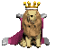 lion_king_look_sc.gif