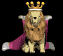 lion_king_look_sb.gif