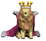 lion_king_look_mc.gif