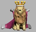 lion_king_look_lc.gif