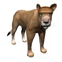lion_female_looking_hr.jpg