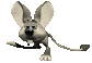jerboa_impatient_sc.gif