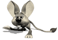 jerboa_impatient_mw.gif