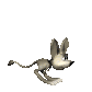 jerboa_hopping_sc.gif
