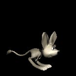 jerboa_hopping_lc.gif