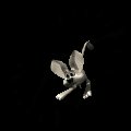 jerboa_hanging_from_c_a_mc.gif