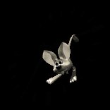 jerboa_hanging_from_c_a_lc.gif