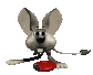 jerboa_eating_sc.gif