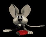 jerboa_eating_lc.gif