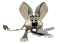 jerboa_blinking_mw.gif