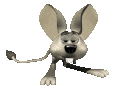 jerboa_blinking_mc.gif