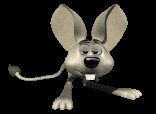 jerboa_blinking_lc.gif
