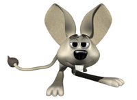 jerboa_blinking.jpg