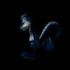 skunk_running_sb.gif