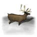 reindeer_snow_mw.gif