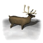 reindeer_snow_lw.gif