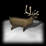 reindeer_snow_lb.gif