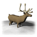 reindeer_bellow_mw.gif