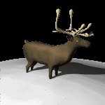 reindeer_bellow_lc.gif