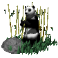pandabear_eating_sc.gif