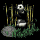 pandabear_eating_sb.gif