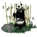 pandabear_eating_mw.gif