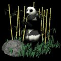 pandabear_eating_mb.gif