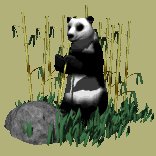 pandabear_eating_lc.gif