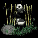 pandabear_eating_lb.gif