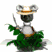 outback_koala_bear_tw.gif