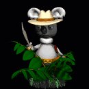 outback_koala_bear_mc.gif