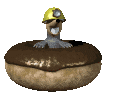 morty_in_a_donut_mc.gif