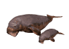 manatee_and_baby_swim_a_sw.gif