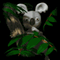 koala_bear_in_tree_sb.gif