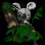 koala_bear_in_tree_lc.gif