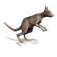 kangaroo_hopping_sw.gif