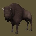 bison_looking_mc.gif