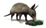 armadillo_sniffing_rock_sw.gif
