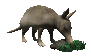 armadillo_sniffing_rock_sc.gif